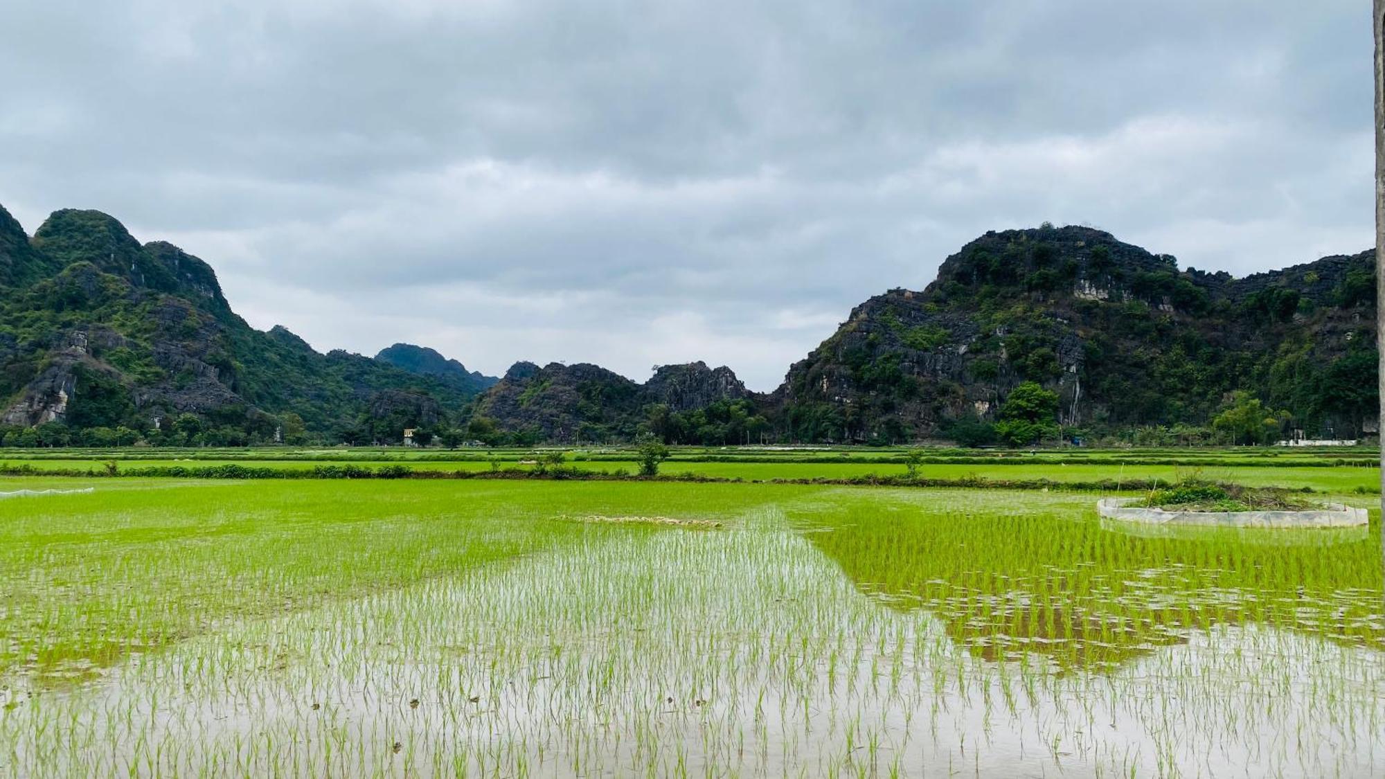 Ohayo Tam Coc Homestay Ninh Binh Exterior foto