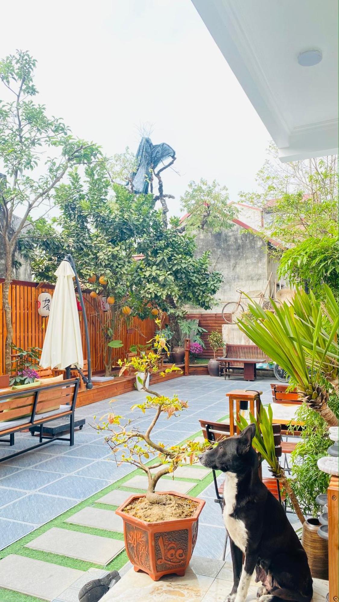 Ohayo Tam Coc Homestay Ninh Binh Exterior foto
